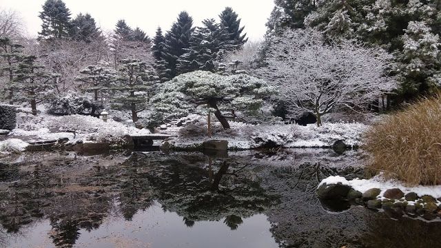 La parte del jardín japonés nos enamoró La parte del jardín japonés nos enamoró